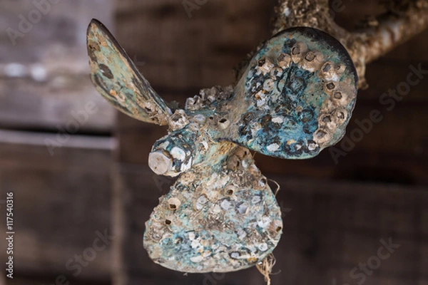 Obraz pąkla na śmigle łodzi