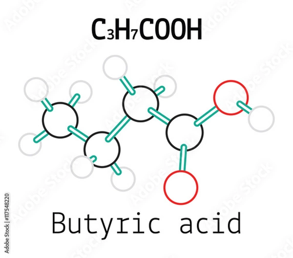 Fototapeta C3H7COOH Butyric acid molecule