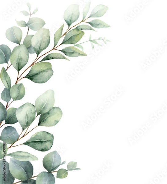 Fototapeta Watercolor vector wreath with green eucalyptus leaves and branches. Greenery clipart for wedding invitation, greeting cards, save the date, stationery design. Hand drawn illustration.