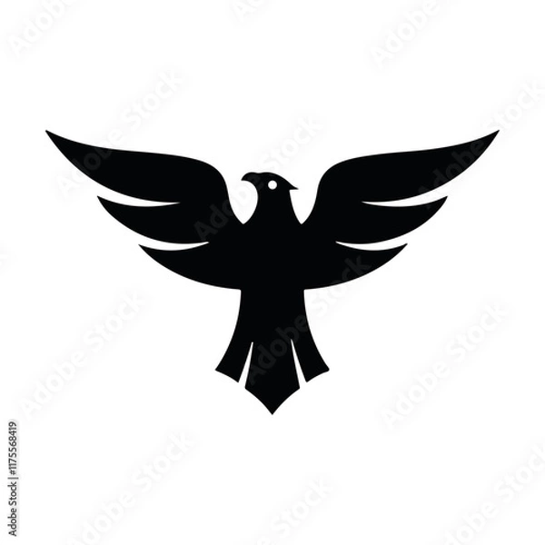 Fototapeta Eagle Flight 