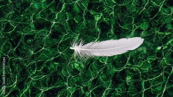 Fototapeta White Feather Floating on Green Water with Light Reflection