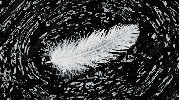 Fototapeta White Feather Floating on Dark Swirling Water Surface in Motion