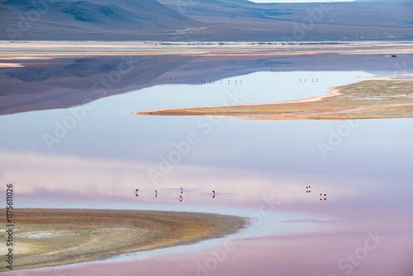 Obraz Pink hue of the laguna colorada and flamingoes