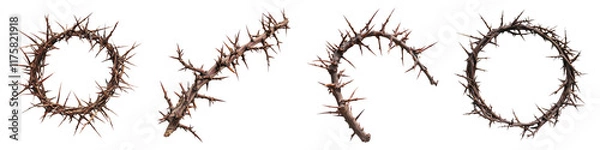Fototapeta Cown of thorns isolated on transparent background, Set of