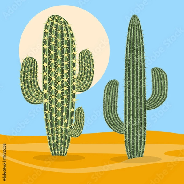 Obraz Different types desert plant nature cactus. Vector illustration.