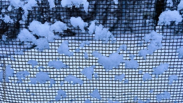 Obraz Snow on a Net Grid