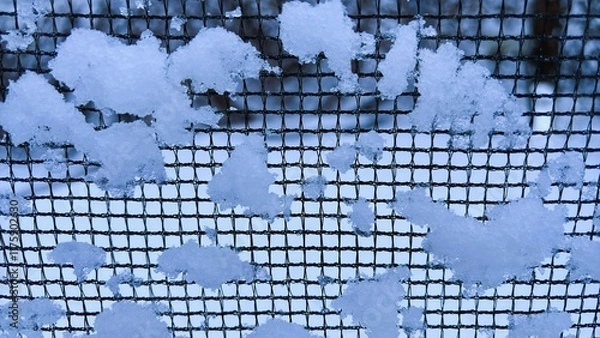 Obraz Snow on a Net Grid