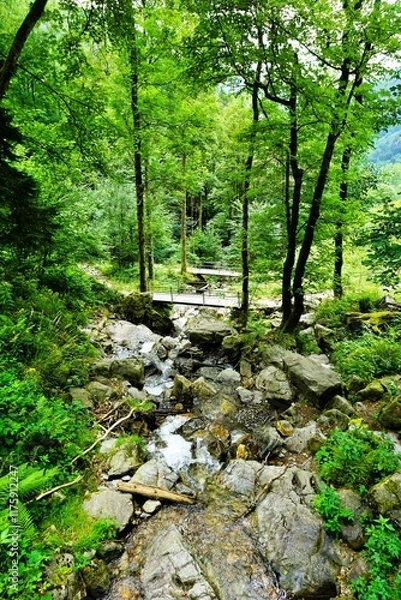 Obraz Waterfall Cascade