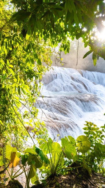 Obraz Landsape of Agua Azul with waterfalls in the Tropical forest of Palenque in Mexico.  