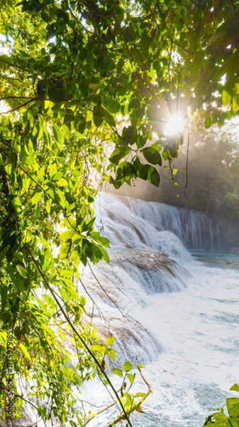 Obraz Landsape of Agua Azul with waterfalls in the Tropical forest of Palenque in Mexico.  