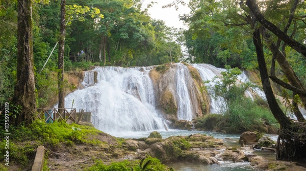 Obraz Landsape of Agua Azul with waterfalls in the Tropical forest of Palenque in Mexico.  