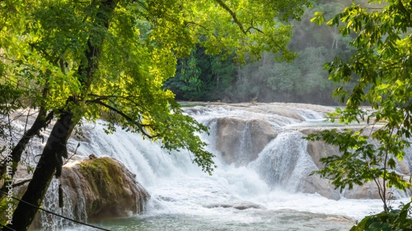 Obraz Landsape of Agua Azul with waterfalls in the Tropical forest of Palenque in Mexico.  