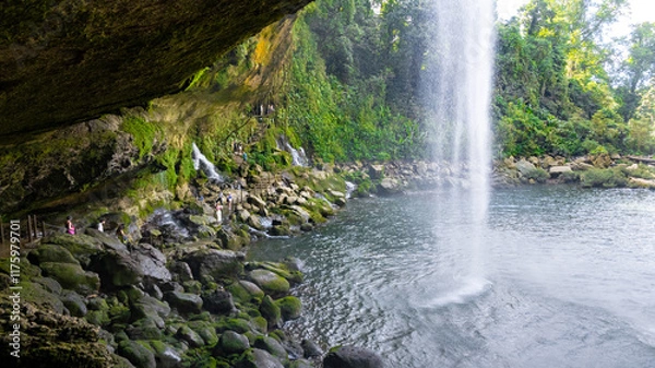 Obraz Waterfall of Misol Ha in Chiapas state of Mexico.  