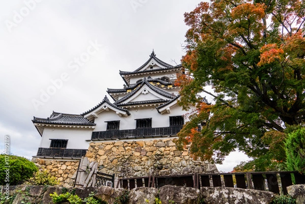 Fototapeta 彦根城の風景