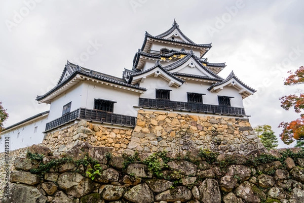 Fototapeta 彦根城の風景