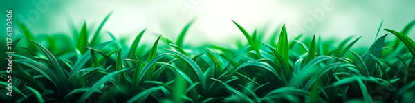 Obraz Panoramic close-up of lush green grass with soft light background