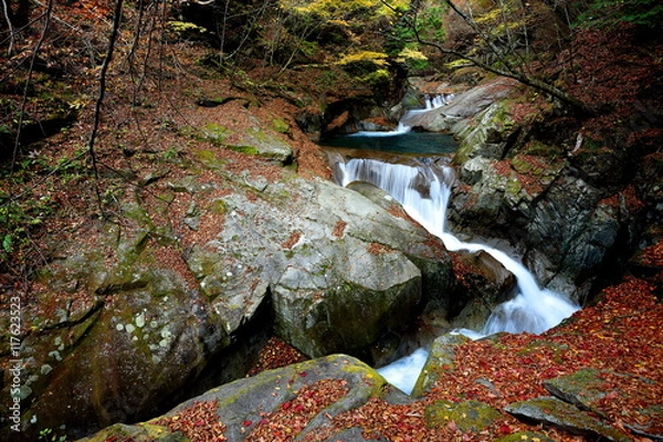 Fototapeta 秋の西沢渓谷　三重の滝