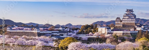 Obraz Zamek Himeji w Japonii z oświetleniem w sezonie kwiat wiśni Sakura