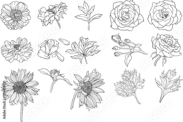 Fototapeta Set of various isolated flower.