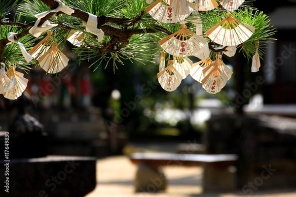 Obraz 天橋立智恩寺