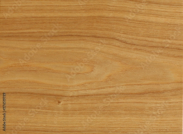 Obraz veneer, a texture for furniture in interior design for the production of beautiful products
