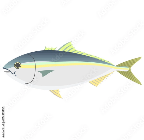 Obraz 魚の鰤のベクターイラスト