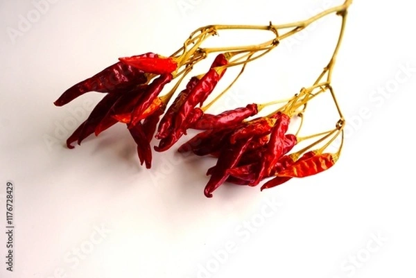 Obraz 枝付きの乾燥した赤唐辛子