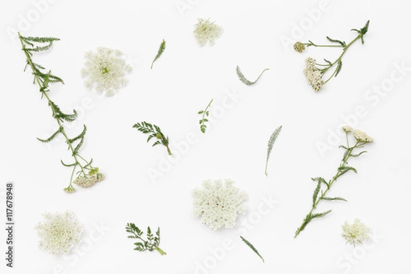 Obraz Wild flowers on white background. Top view, flat lay