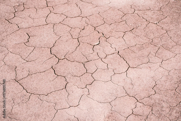 Obraz Cracked earth pattern on floor in hot summer season, Abstract dry soil grunge background in drought