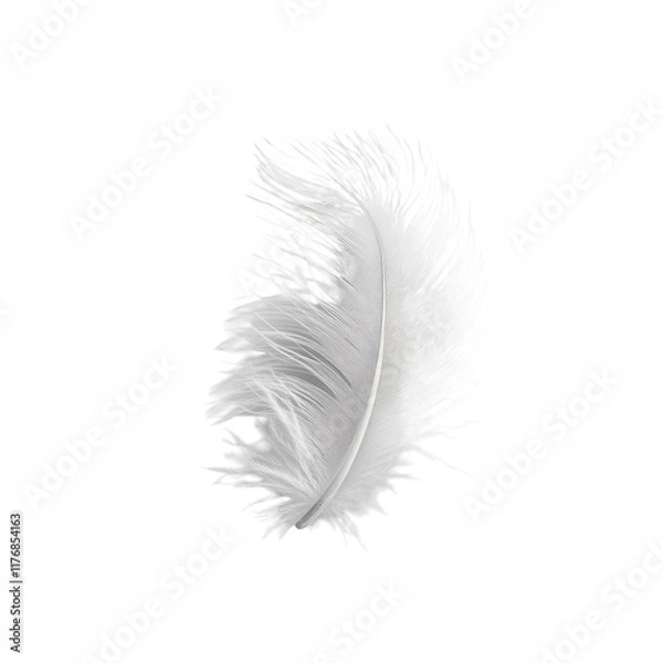 Fototapeta Elegant White Feather for Creative Projects on transparent background
