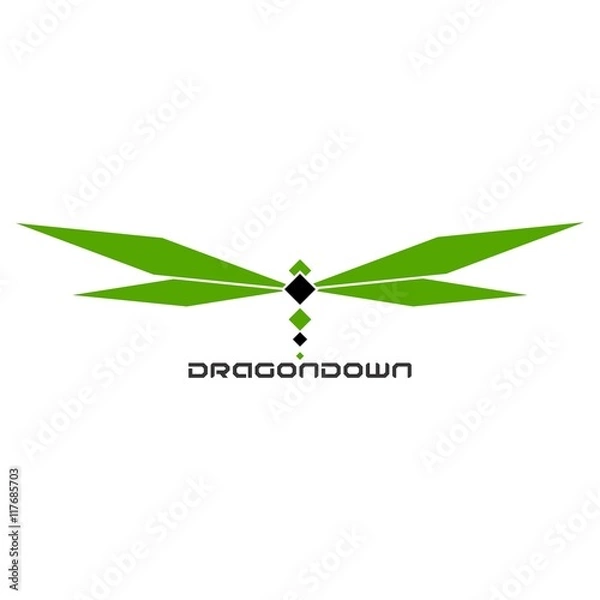 Obraz DragonDown 4