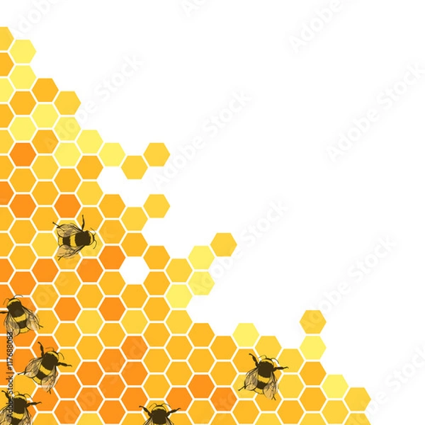 Obraz Honeycombs bright background