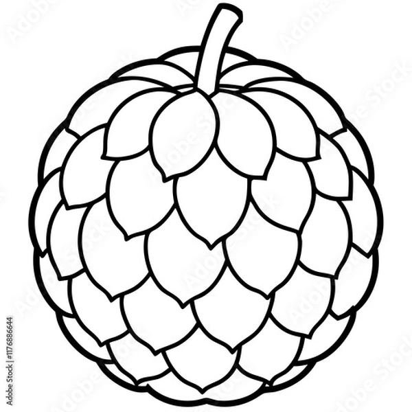 Fototapeta Sugar Apple Handheld Line Art Vector