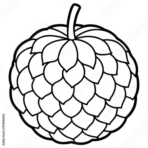 Fototapeta Sugar Apple Handheld Line Art Vector