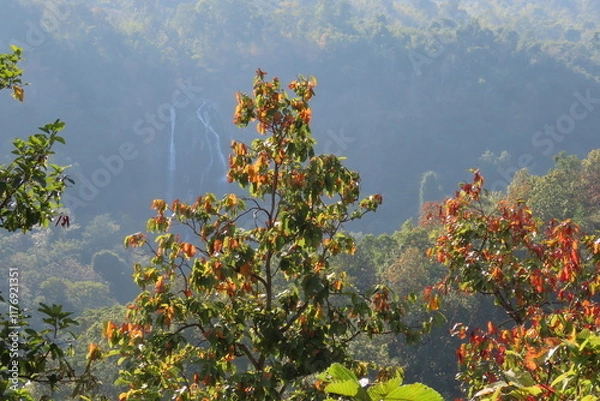 Fototapeta Autumn forest landscape with red, green and yellow leaves on mountain