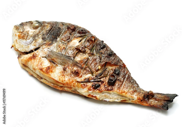 Obraz Grilled Dorado