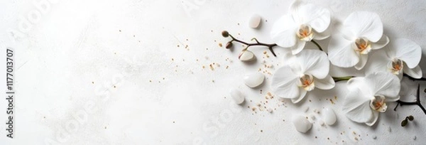 Obraz white orchid flower
