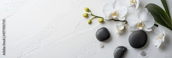 Obraz white orchid flower