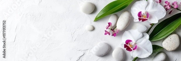 Obraz white orchid flower