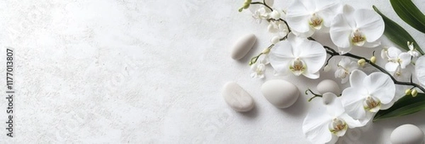 Obraz white orchid flower