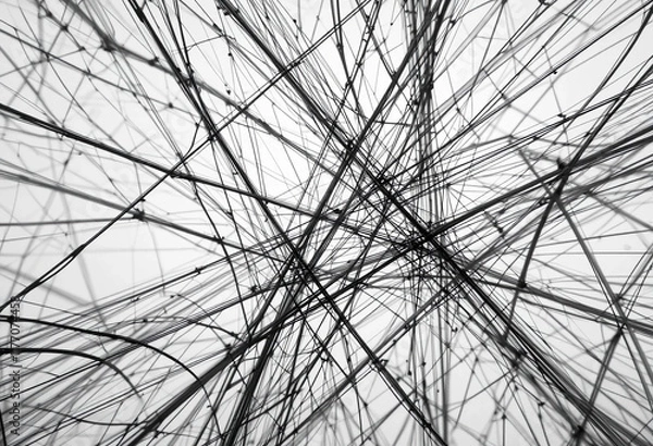 Fototapeta Intricate web of black lines creates an abstract pattern against a light background, showcasing dynamic movement and complexity in design
