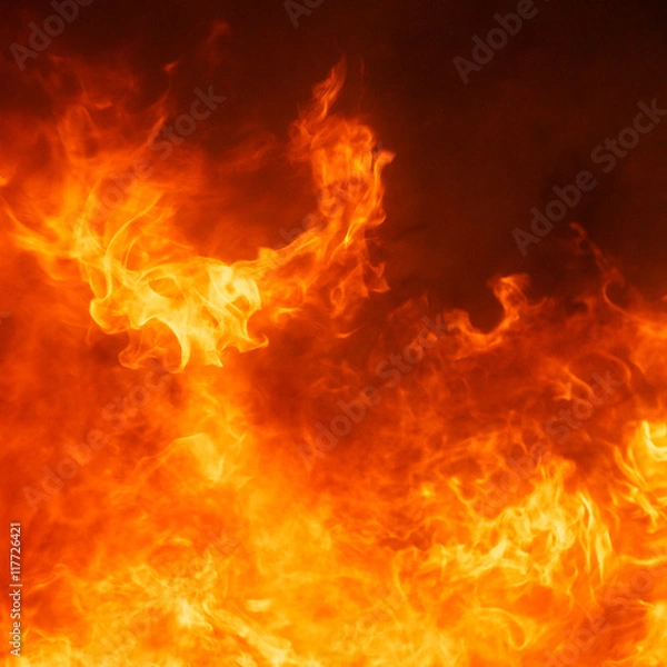 Fototapeta blaze fire flame texture background