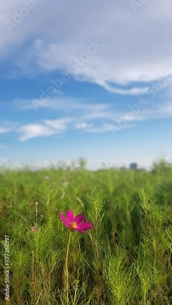 Fototapeta landscape