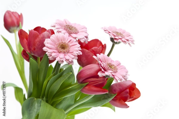 Obraz Frühlingsblumen