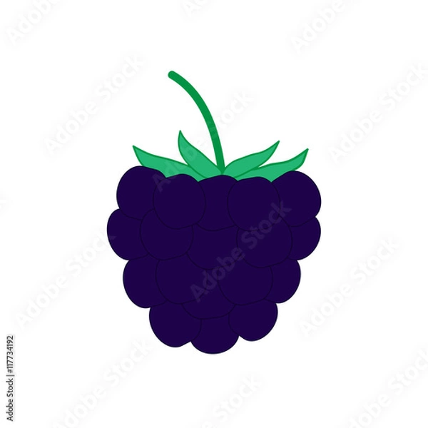 Obraz Sign flat blackberry 26.08