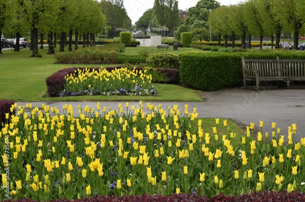 Obraz イギリスの田園都市：ウェリン・ガーデンシティの街並み