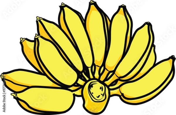 Obraz Bananas vector illustration