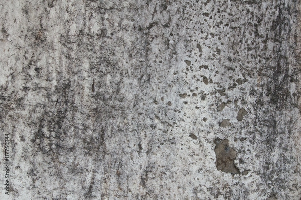 Fototapeta This is the cement wall. It is good background.