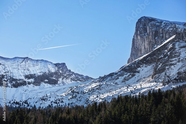 Fototapeta Montagne enneigée dominant une vallée boisée et enneigée avec avion passant dans le ciel bleu d'hiver.