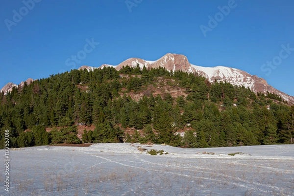 Fototapeta Montagne rocheuse rouge presque sans neige au printemps avec forêt sapins et mélèzes sur son flanc bordant une plaine enneigée sous un ciel bleu..